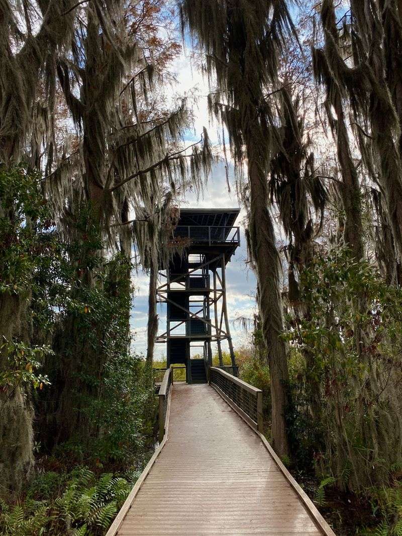 Observation Towers With Panoramic Views