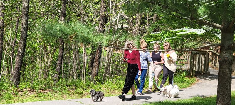A Welcoming Space for Dogs, Bikes, and Families