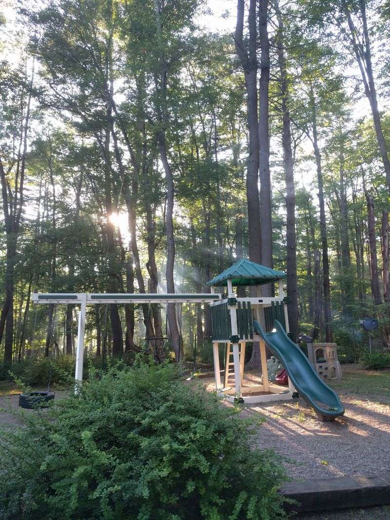 Accessibility and Family-Friendly Options