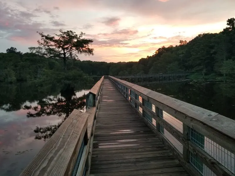 Camping Under the Stars
