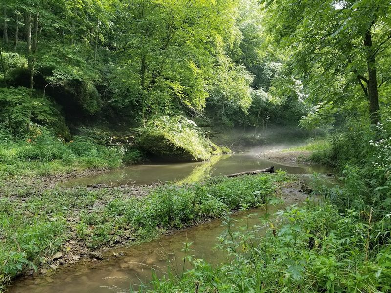 Trailblazing Through Scenic Paths
