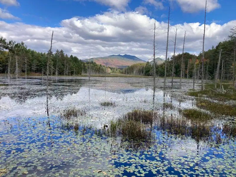 Year-Round Recreation