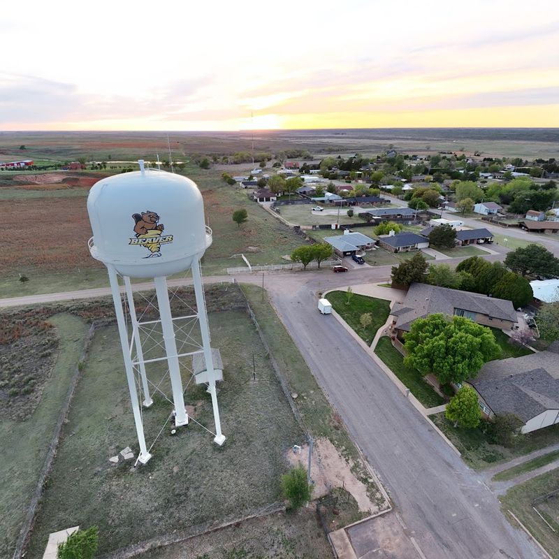 Cow Chip Throwing Capital of the World