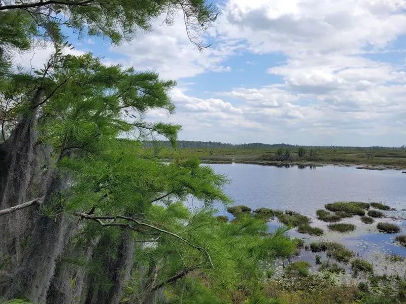 A Rare Opportunity to Explore Untamed Georgia