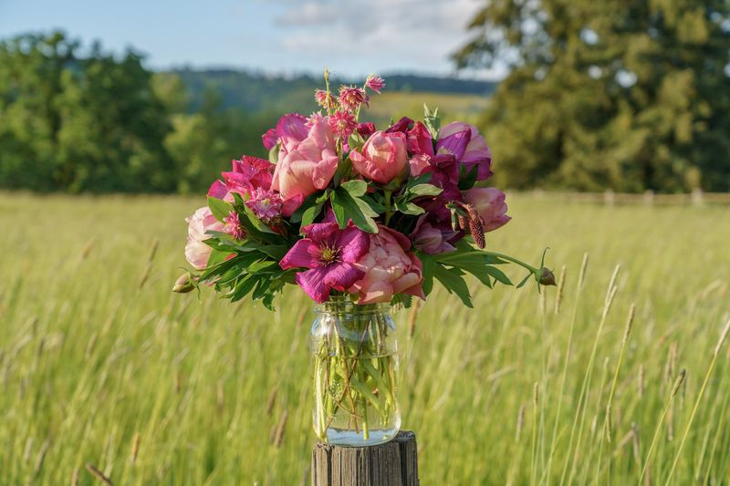 Big Oak Flower Farm U-Pick Events &mdash; Saint Paul, OR