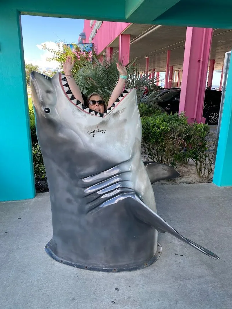 Massive Shark Head Entrance (Biloxi)
