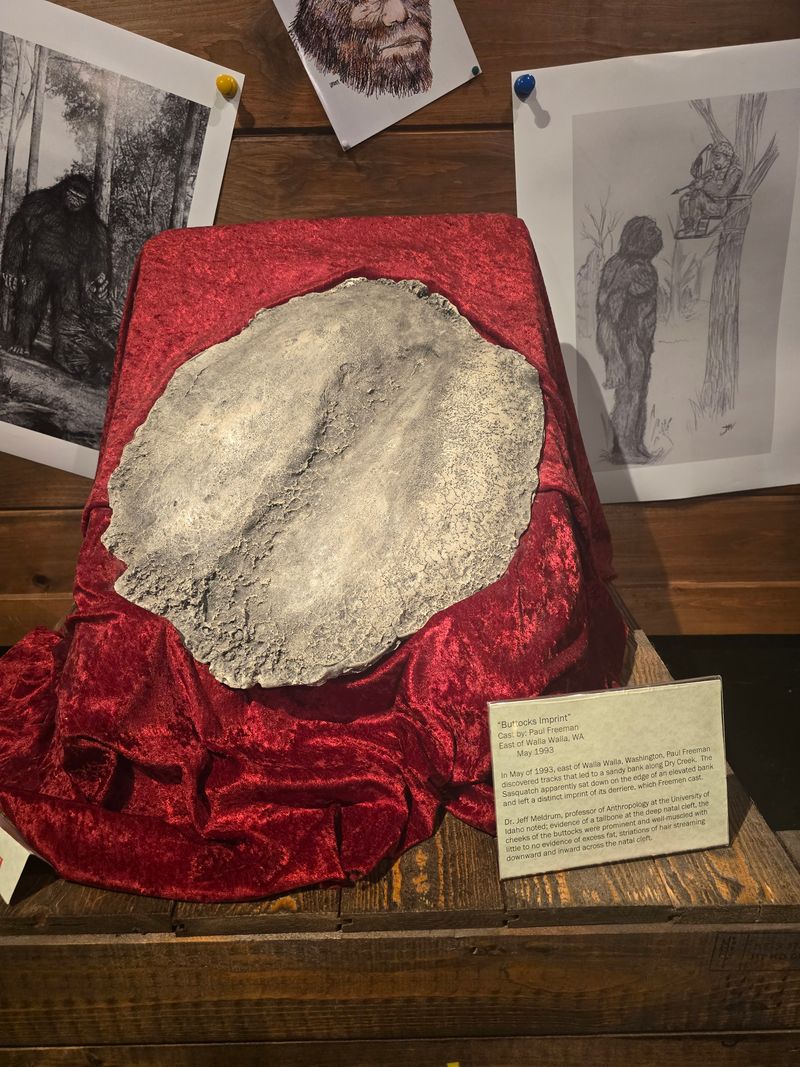 What you will actually see on the floor