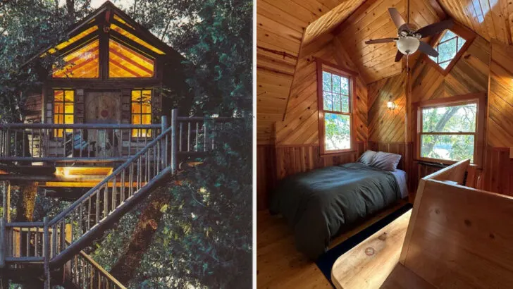 You Can Stay and Dine 47 Feet Up in the Trees at This Little-Known Oregon Resort