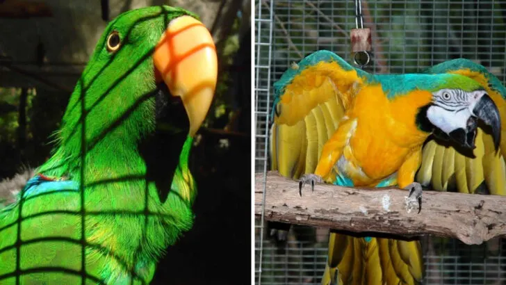 You might feel like you&rsquo;ve discovered a secret jungle at this Florida bird sanctuary