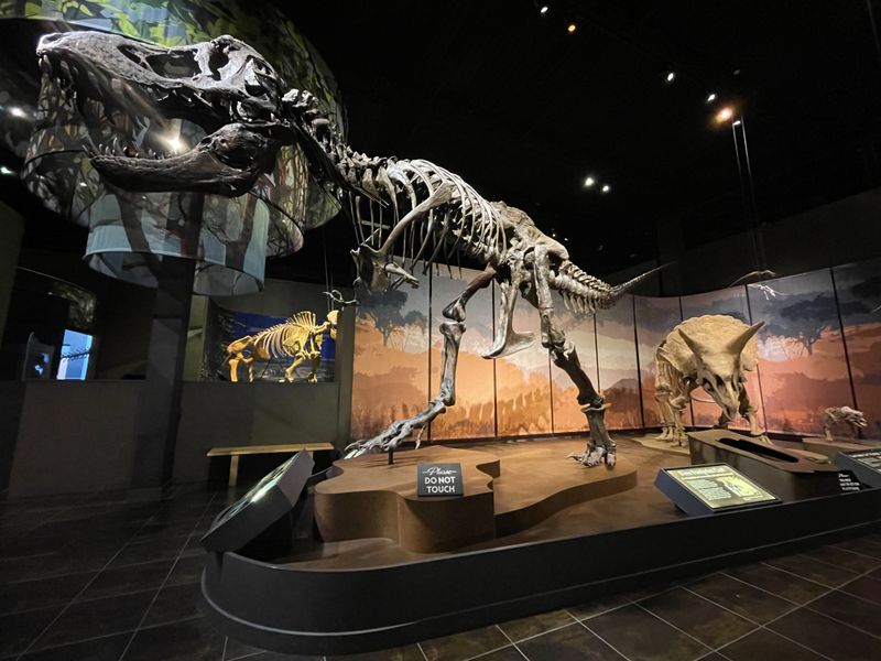 Tellus Science Museum