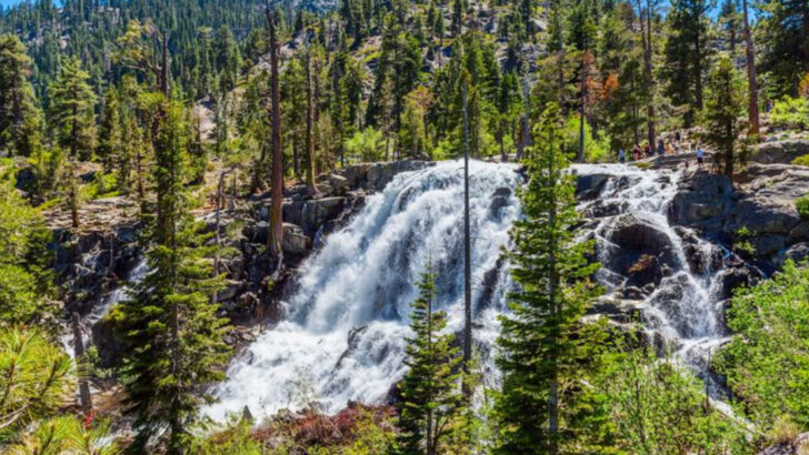 10 California Trails to Explore This March That Feel Worth Every Step