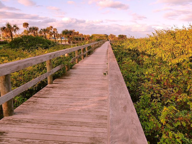 Sunrise Stroll on the Sand