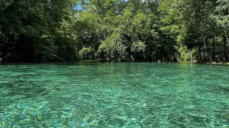 10 Florida State Parks So Gorgeous They Could Pass for National Parks