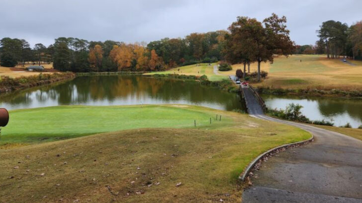 10 Georgia Destinations That Families Keep Choosing Over Florida for Spring Break