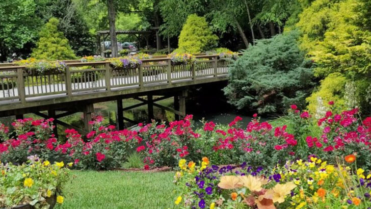 10 Georgia Spots That Are Even More Beautiful in Spring Than Most People Realize