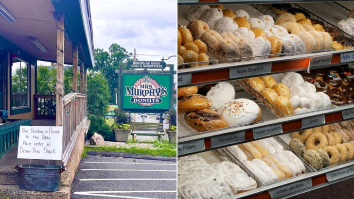 10 Massachusetts Donut Shops Are Tiny and Old School but the Donuts Are the Best You’ll Ever Have