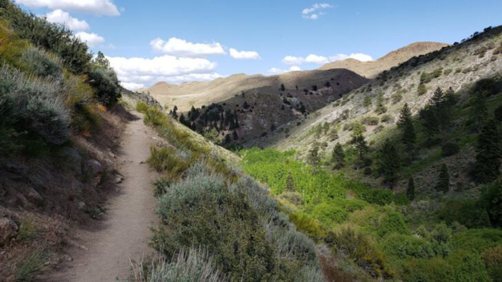 10 Nevada Trails to Explore This March That Feel Bigger Than Their Mileage
