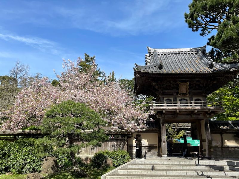 Japanese Tea Garden, Golden Gate Park, San Francisco
