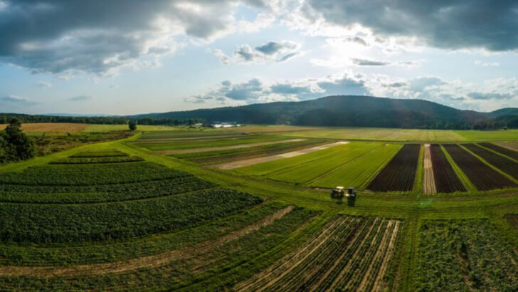 10 charming countryside spots in New York State worth visiting in 2026