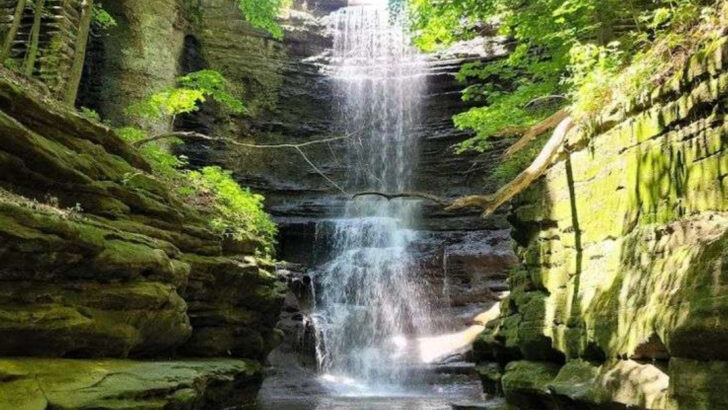 11 Illinois Trails to Check Out This March That Prove Short Hikes Can Still Impress