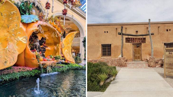 11 Indoor Destinations in Nevada You&rsquo;ll Want on Your 2026 Calendar