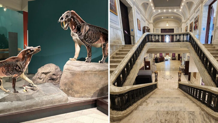 12 Great Indoor Attractions in Pennsylvania Worth Visiting in 2026