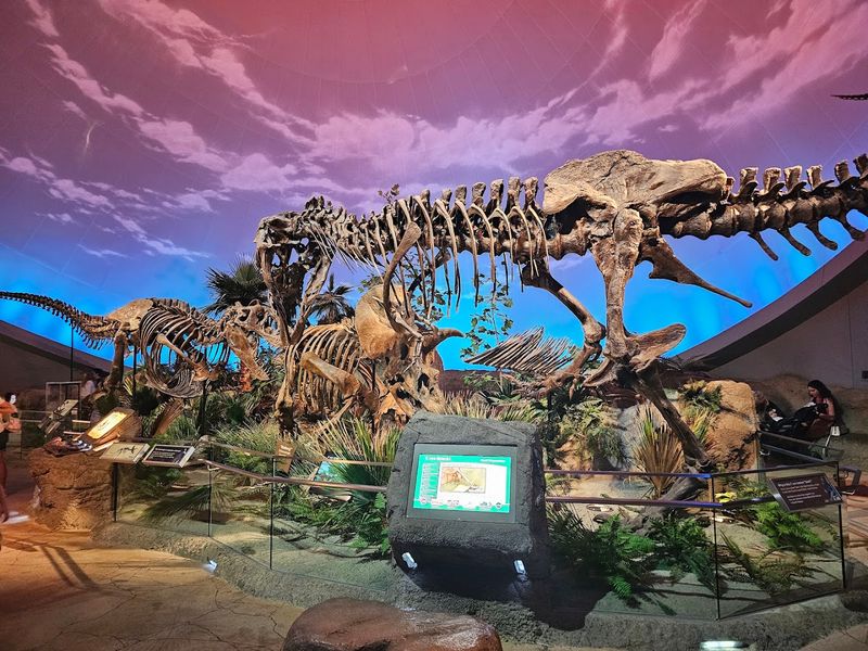 The Children&rsquo;s Museum of Indianapolis