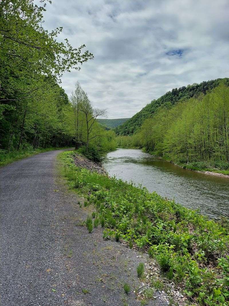 Pine Creek Rail Trail - Wellsboro / Jersey Shore, PA