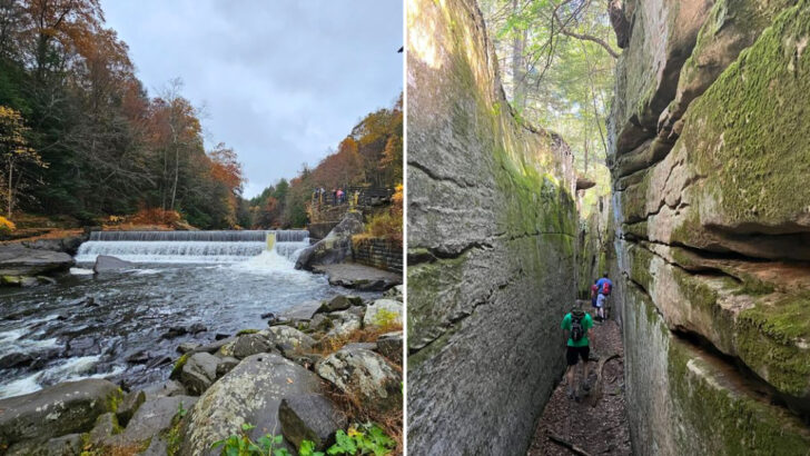 12 Pennsylvania Hikes Perfect for March That Reward You With Incredible Views