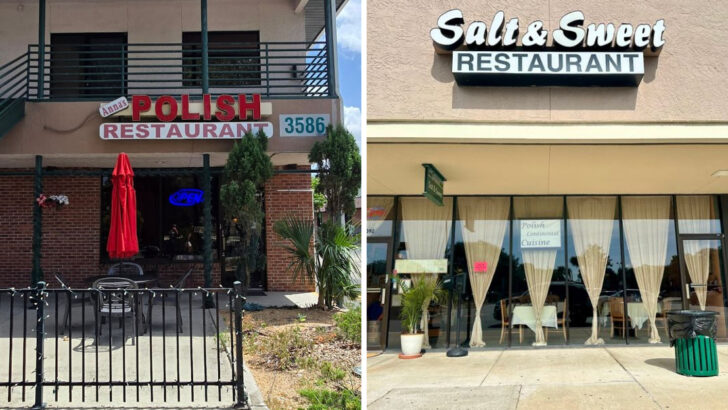 12 Polish Restaurants in Florida That Are Worth Going Out of Your Way For