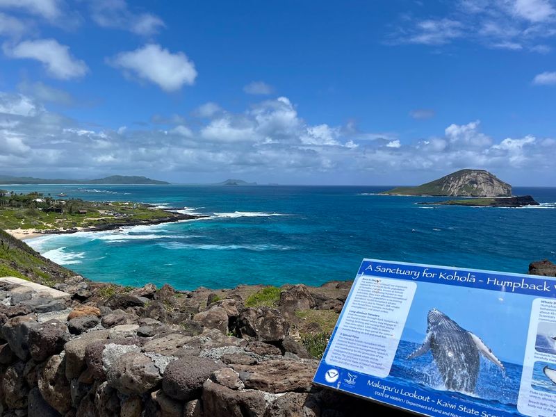Makapuʻu Lookout