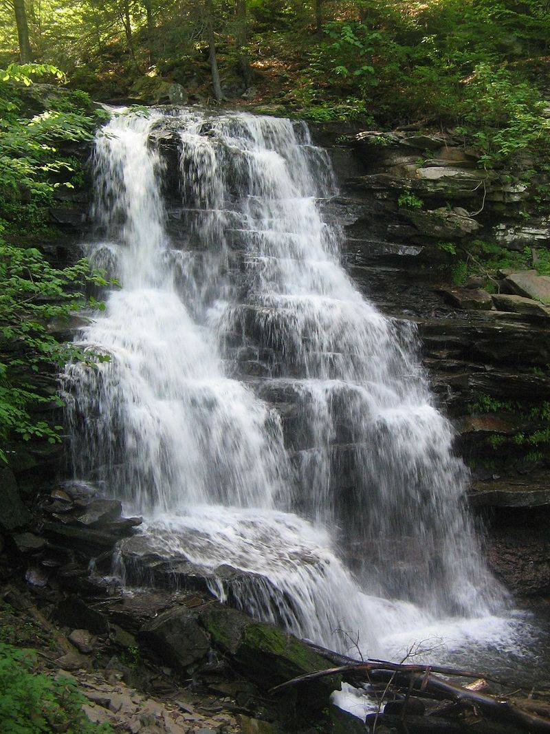 Ricketts Glen State Park