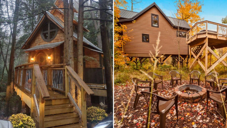 12 Treehouse and Cabin Stays Across Pennsylvania That Feel Like Something Out of a Storybook