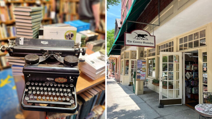 12 beloved bookstores in North Carolina every book lover should visit