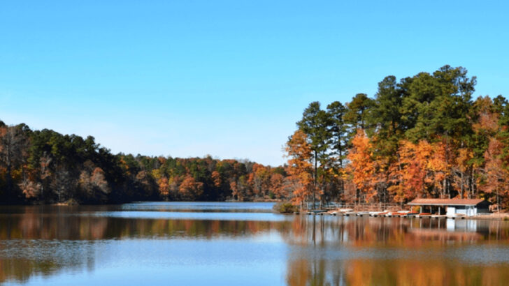 12 of the Most Beautiful Forests in North Carolina That Still Feel Completely Untouched