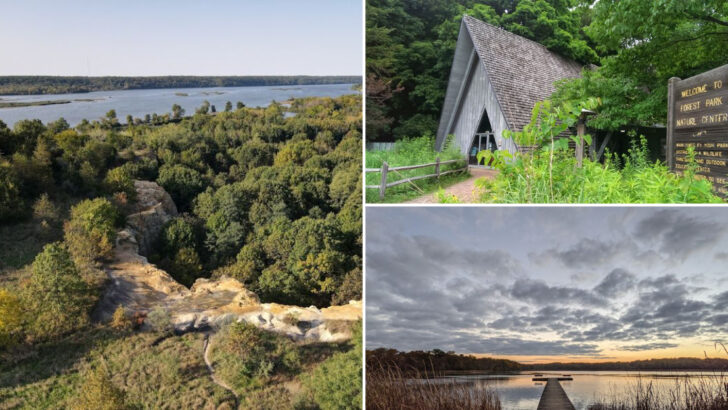 14 Illinois Nature Getaways That Give You a Real Break From City Noise in 2026