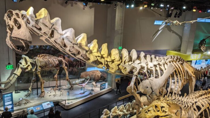 14 Must-See Indoor Attractions in Texas to Experience in 2026