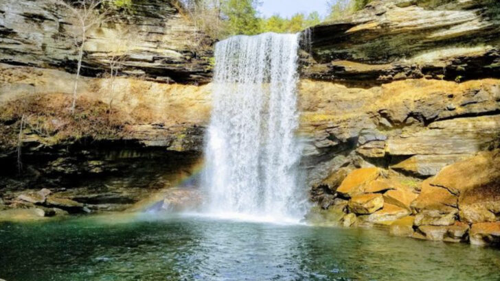 14 Tennessee Spots That Quietly Become Some of the Most Beautiful Places in the South Every Spring