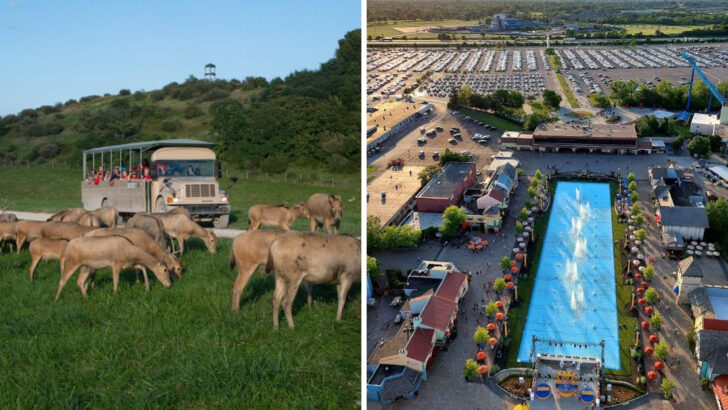 14 Ohio Destinations Worth a Family Getaway in 2026