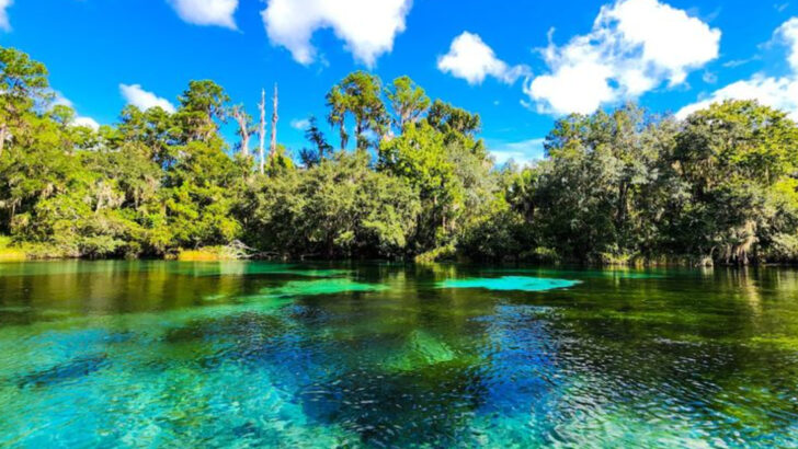 15 Budget-Friendly Florida Day Trips That Feel Like a Mini Vacation