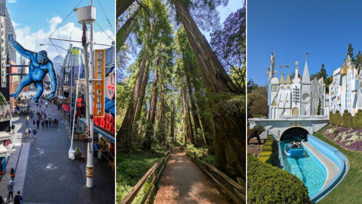 15 Can’t-Miss Destinations In California For A 2026 Road Trip