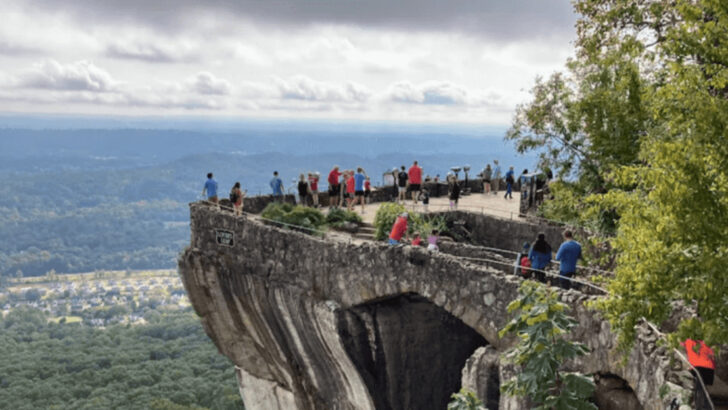 15 Georgia Adventures Worth Building a Family Trip Around in 2026