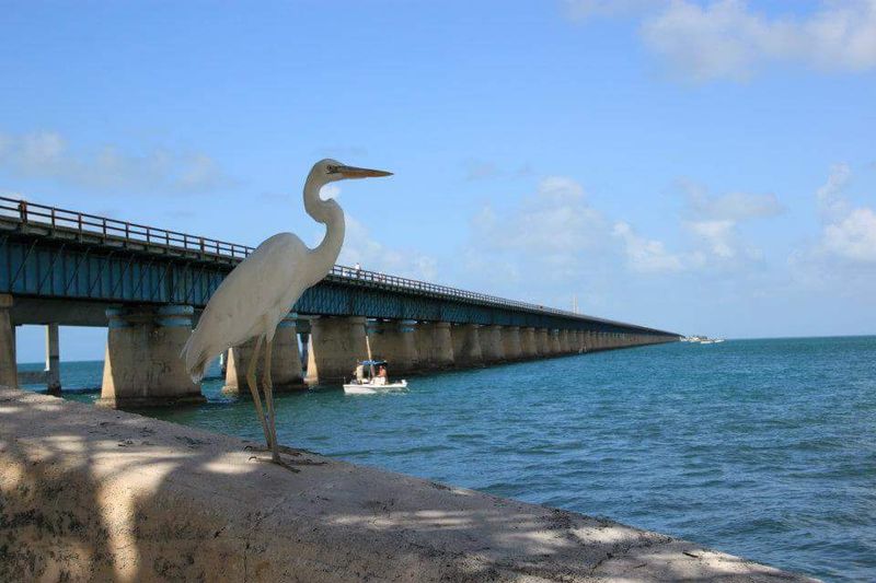 Key Largo