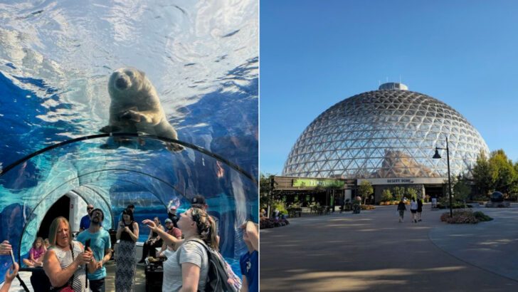 21 Most Unique Zoos Across America Worth Visiting At Least Once