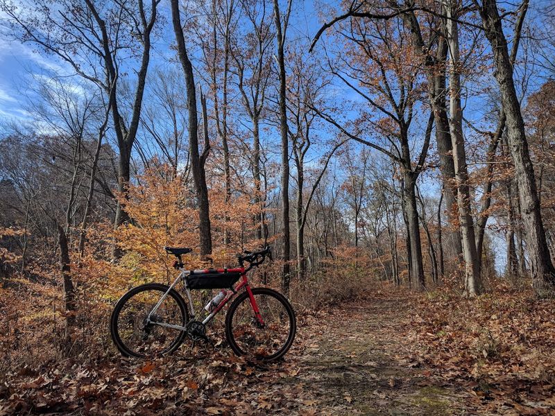 Mountain Biking on Technical Singletrack