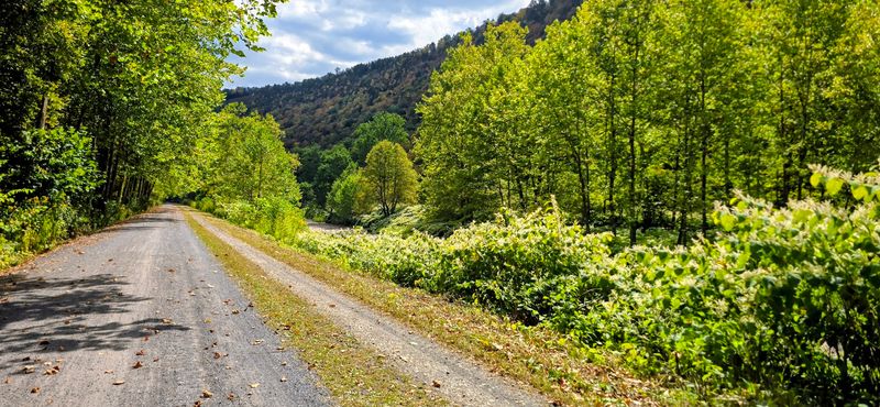 Wildlife Encounters That Will Stop You in Your Tracks