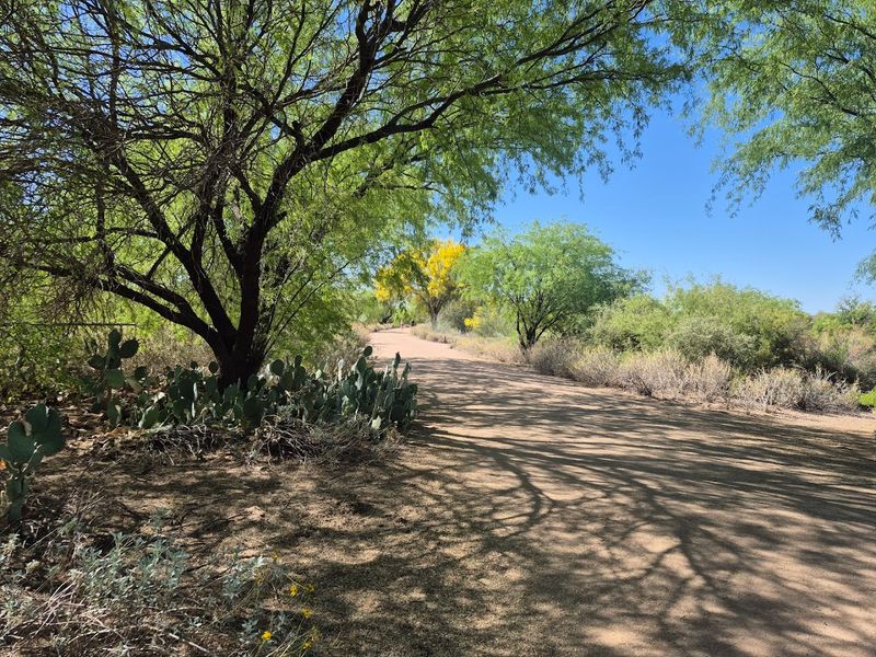 4.5 Miles of Scenic Multi-Use Trails