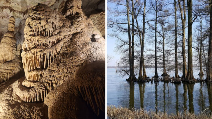 9 Bucket-List Outdoor Adventures in Tennessee for 2026