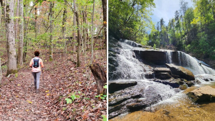 Georgia Trails to Walk This March With Surprisingly Big Rewards