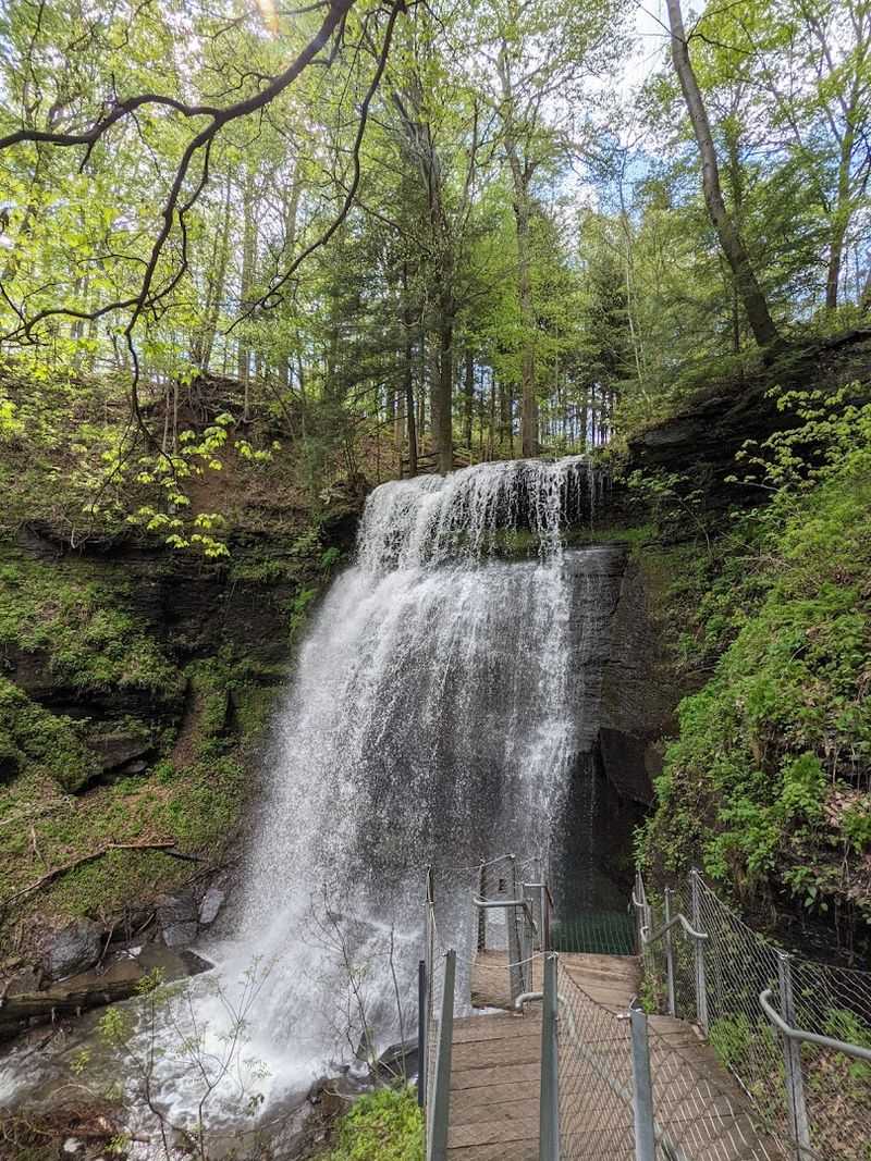 Buttermilk Falls - Indiana County